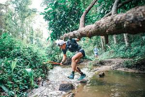 BIB: 
                            <button type="button" onclick="openModal(25368495)" class="btn btn-primary btn-sm float-right btn-popup" data-toggle="modal" data-target=".modal-high-quality">
                        <i class="fas fa-shopping-cart"></i> Add to Cart
                    </button>
                                            <button type="button" onclick="isThisMe(25368495, true)" class="btn btn-success btn-sm float-right btn-popup btn-isme hidden" data-toggle="tooltip" data-placement="bottom" title="นี่คือรูปของคุณใช่ไหม คลิกที่นี่เพื่อเอาเข้าอัลบั้ม">
                        <i class="fas fa-plus"></i> Add to album
                    </button>
                    <button type="button" onclick="isThisMe(25368495, false)" class="btn btn-warning btn-sm float-right btn-popup btn-isnotme hidden">
                        <i class="fas fa-ban"></i> Remove from album
                    </button>